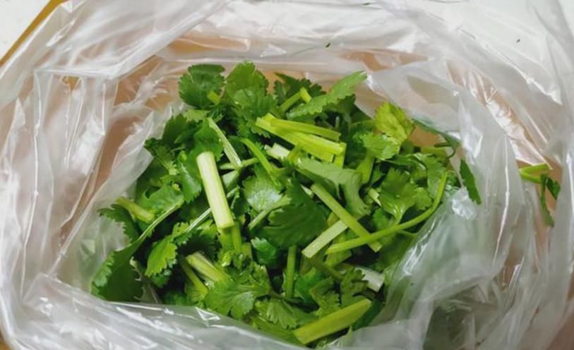 根部|保存香菜，最忌直接放冰箱教你饭店方法，半年还新鲜，不黄不坏