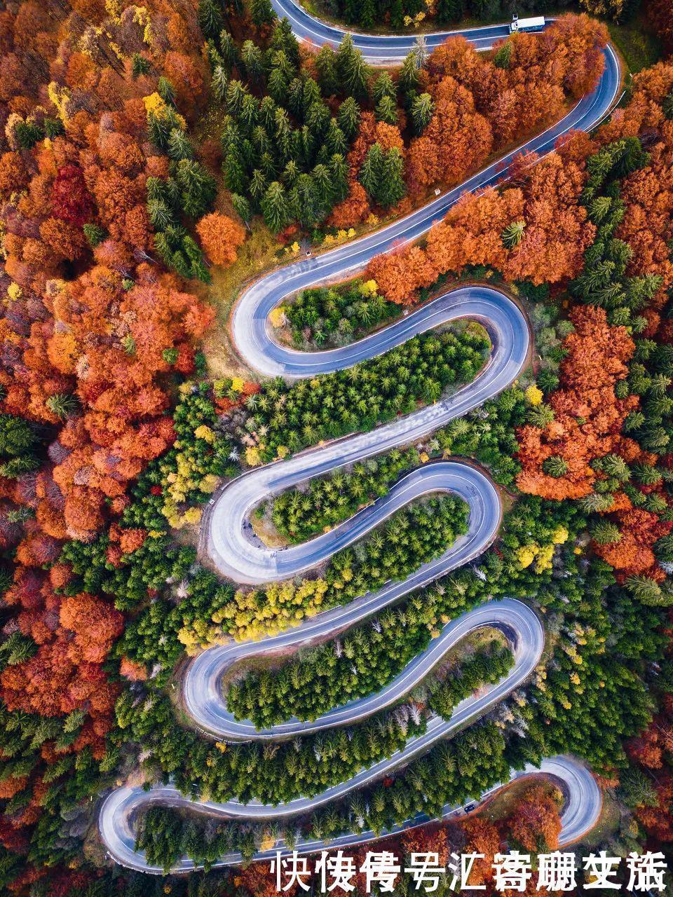 满山|秦岭深处满山红遍，绚丽多彩，惊艳着整个秋天