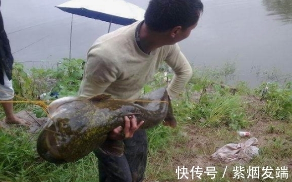 农村大叔去河边钓鱼发现“无齿”大鱼,一看才知道自己发大财了