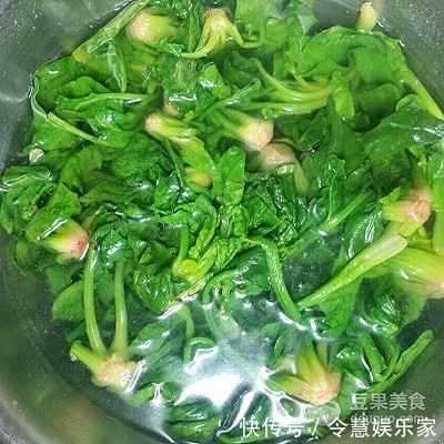 年味餐桌清新菜酸爽蒜香菠菜~