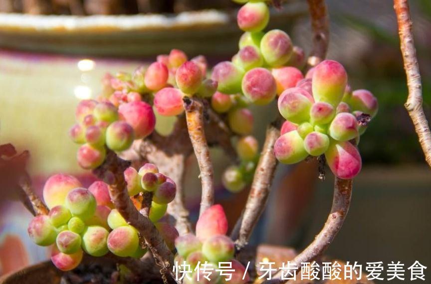 踩坑|别人的踩坑经历,了解了解帮你准确避开雷区