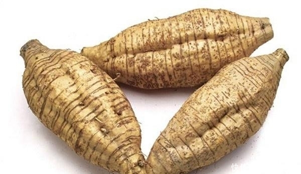  葛根|此物被称食物中的“阿司匹林”，没事经常吃两口，将血栓拒之门外