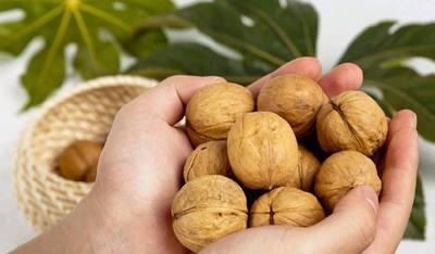 补脑|核桃虽然营养, 但早上吃好, 还是晚上吃好 答案不简单!
