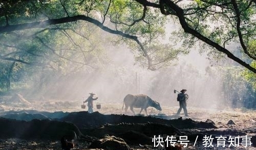 草盛豆苗稀！陶渊明隐居后写下一首名作，王安石读后感怀，即兴抒写了《即事》