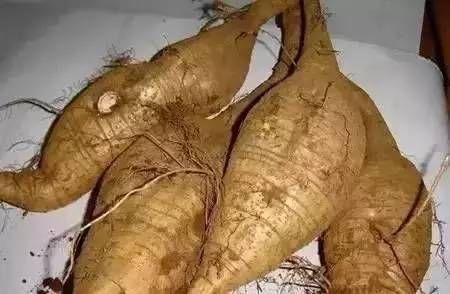 葛粉|清洁心血管的“一种食物”，常吃助血管干净，辅助防治心血管疾病