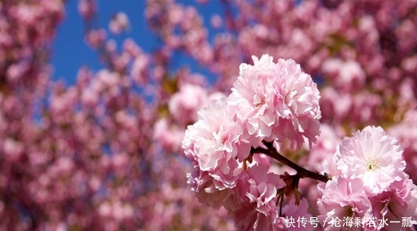 皮肤护理看起来很麻烦,但其实很简单。记住8件简单的事情!