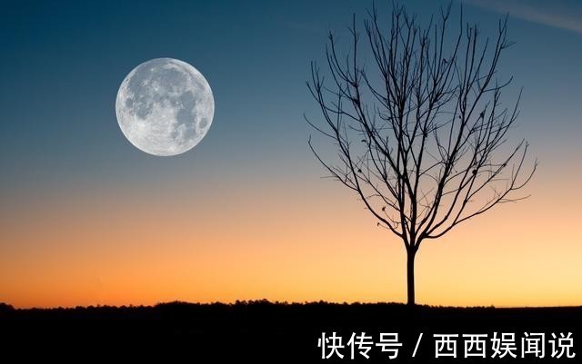 凌寒！王安石很著名一首梅花诗，短短4句传唱1000多年，最后10字太惊艳