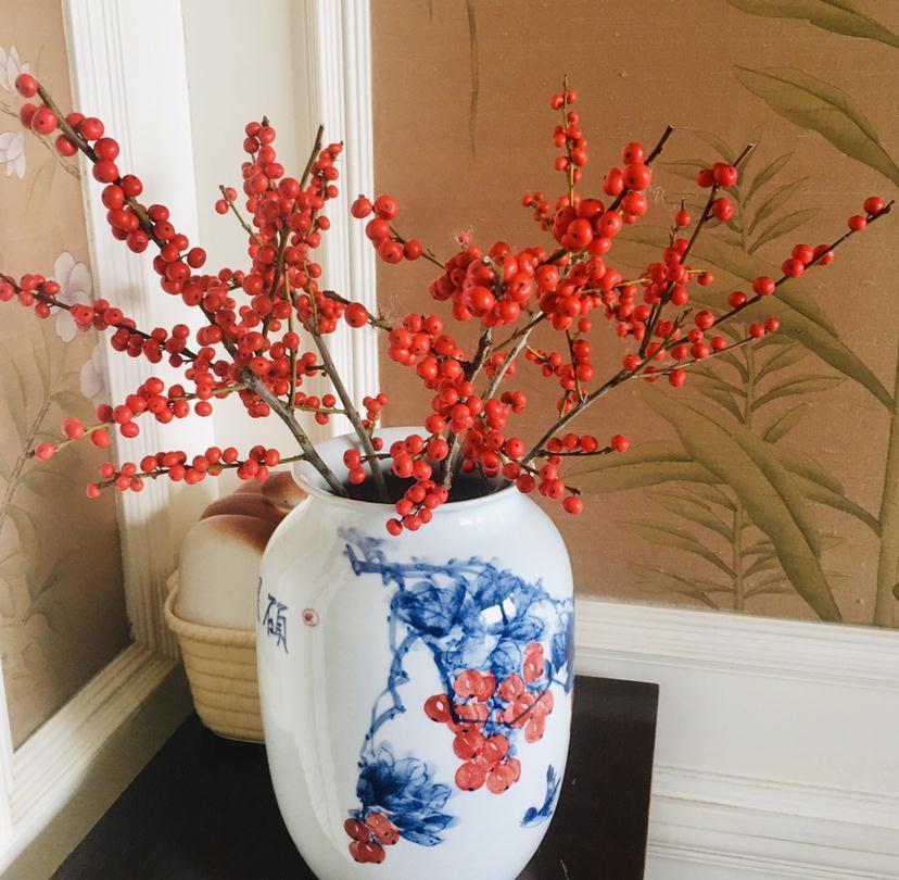 10种“旺运花”开花红艳艳,现在养一盆,春节刚好开,红火显富贵