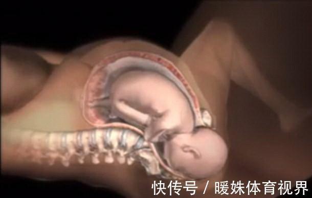 母体|分娩最痛苦的不是产妇,而是产道里的宝宝?一般人都难以忍受