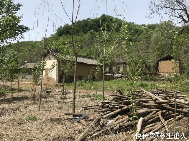 四条腿&“家有五物不外借,借后招灾又惹祸”,啥意思?指的是哪五样?