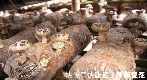 胰岛素|糖尿病要是不想一辈子吃药,那就多吃“它”,帮你告别胰岛素