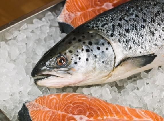 油鱼|日本最奇葩美食,吃之前必须要求穿尿不湿,食客口感一百分