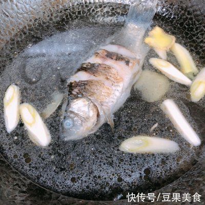 土鲫鱼|这道回归~超鲜的木瓜鲫鱼汤一上桌，我的筷子就没停过