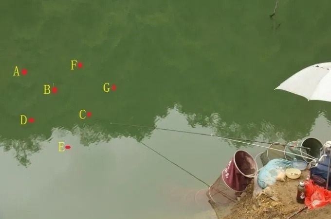 冬季打窝我可不随便!只要有这“诱鱼套路”,上鱼率特高