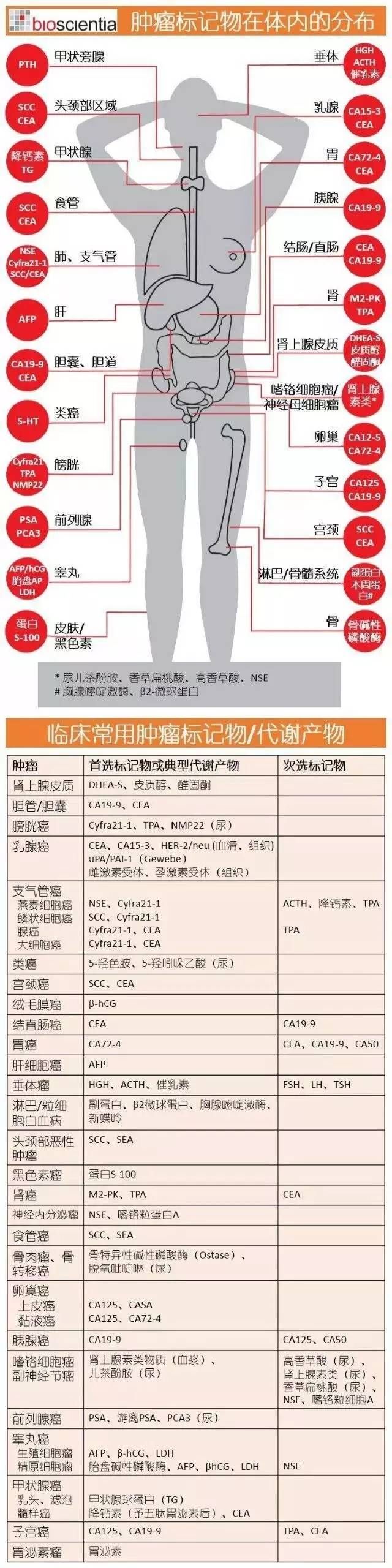 胃癌|肿瘤标志物分布图，值得收藏！