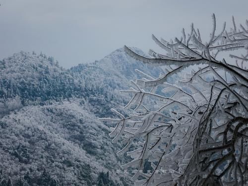 衡山|祈福圣地衡山成人间仙境，南国雾凇离广东仅2小时，游客：大美！