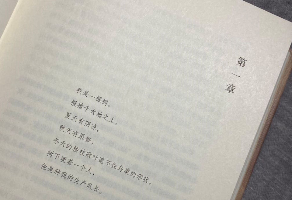 藏獒|书博会谈|杨志军:作家就是一个穿珠子的人