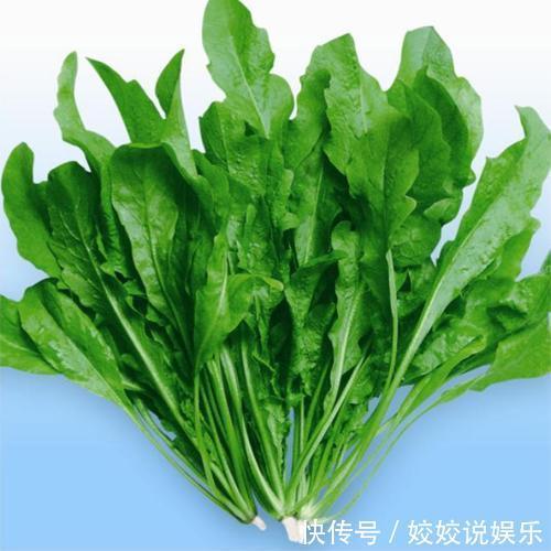 农村人熟悉的四种野菜,都是难得的美味,你都吃过几种呢
