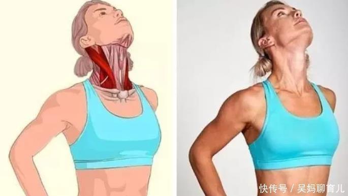 腘绳肌|全身拉筋3D图解，一步到位，在家也能强身健体