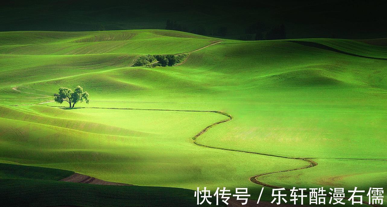 山露水|修炼城府,从不勾心斗角的星座,知世故而不世故,格局观看得高远