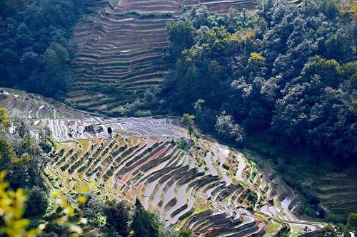 元阳坝达梯田景区，最佳日落观景点，可惜运气差了一点点