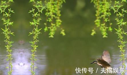 春宵一刻值千金！您知道有哪些一两句千古流传，却很少有人能全篇背过的诗词吗