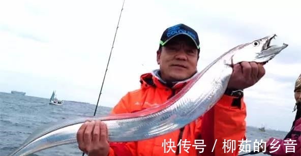 深海|世界上最有“骨气”的鱼,被捉到立马自爆,没人能将它活着带回去!