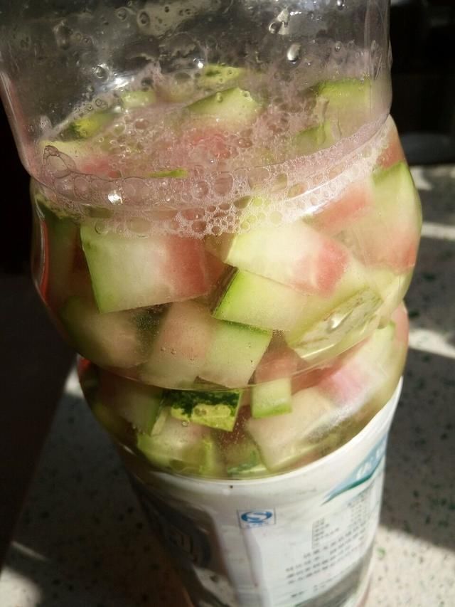 植株|夏天养花,花友们常有的“坏毛病”,难怪花草烂根、黄叶