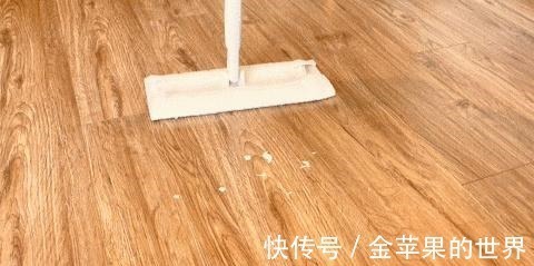 屋里两三天没有打扫就会出现很多“毛毛”，这是怎么一回事！