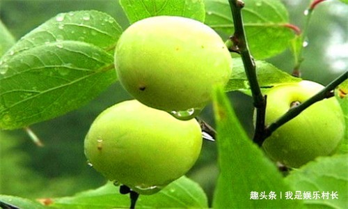 毒素|会吃的人最健康，不妨多吃3种食物，排除毒素，净化血液