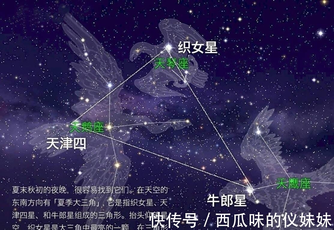 牵牛织女|牛郎星和织女星隔着银河相望,它们相距多远?真的能相会吗?