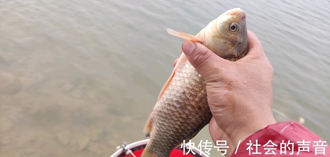 钓鱼|初冬钓大板鲫,这种常见的天气易“爆护”,很多钓友反而不重视