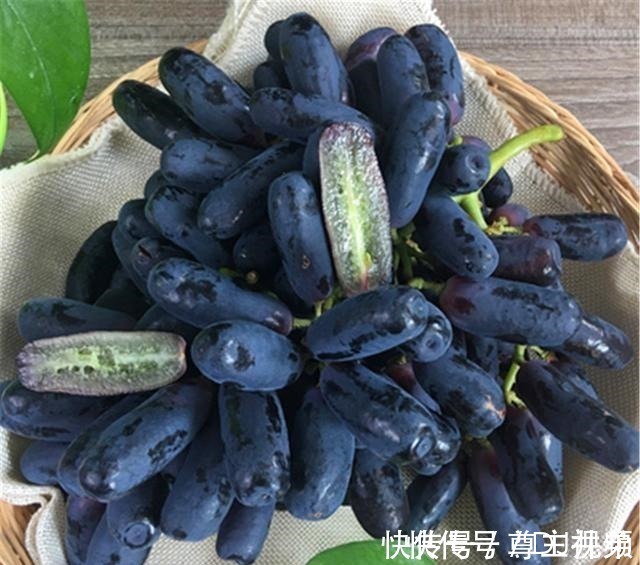 伙伴们|家有院子别空着,此树种几棵,耐寒耐旱,而且吃不完!