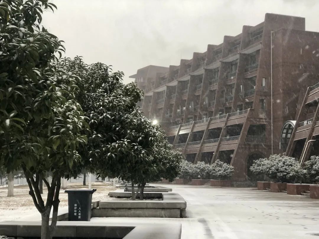 青岛理工大学|今日小雪｜青岛理工大学的雪，你还记得吗？