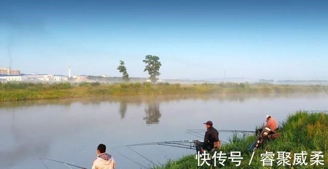 鱼类|无鱼吃钩咋办?大部分钓友补窝!老钓友通过5点改善