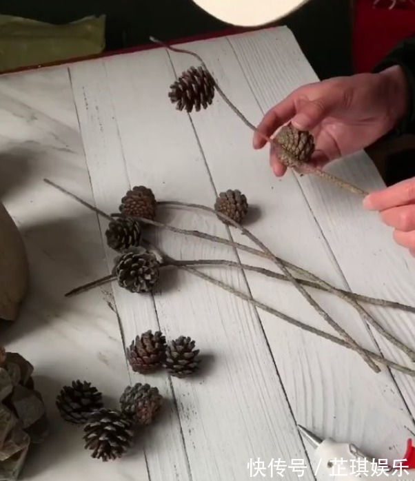 松果|石头野草捡回家,胶水一粘变盆栽,比买的还好看!