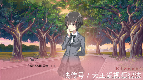 百合花|《夜永》优秀的制作,精彩的续作!绽放在异国的百合花