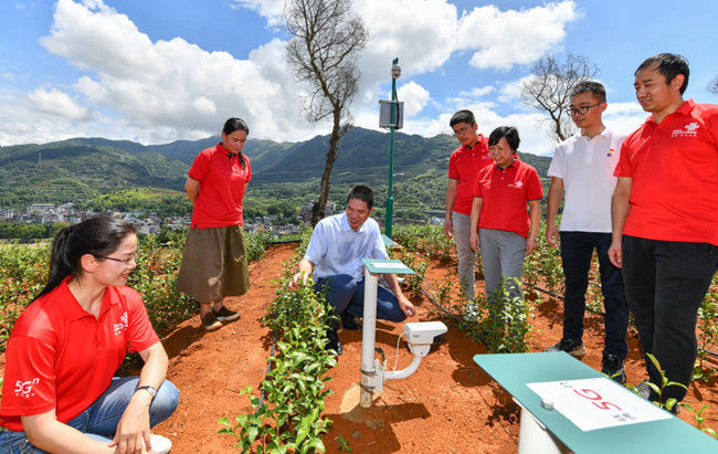 联通5G助力福建智慧茶园香飘万里