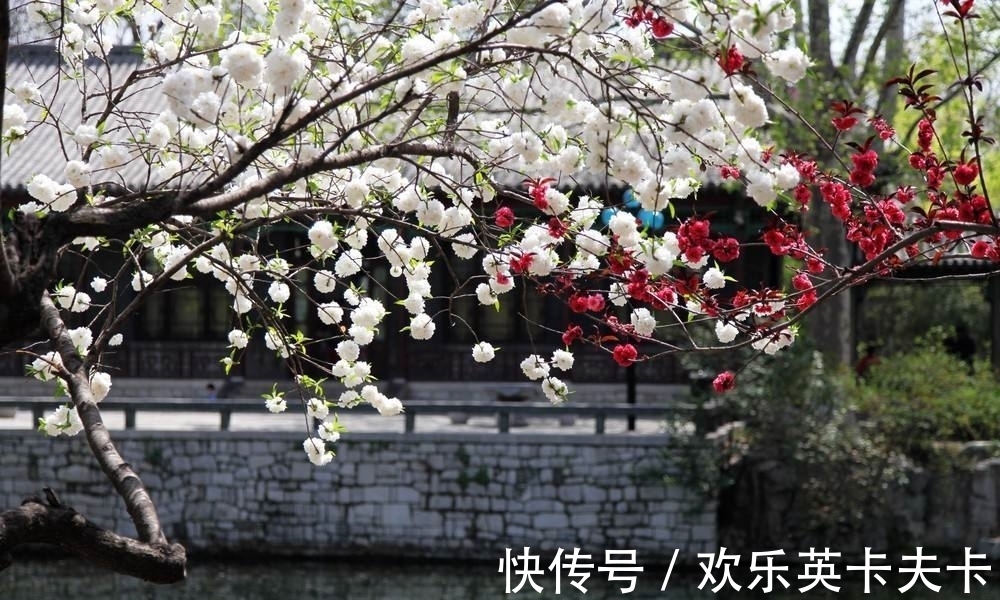 淡妝濃抹總相宜!蘇軾最經(jīng)典的10首詩(shī)排行,《惠崇春江晚景》僅第四,前三都是精品