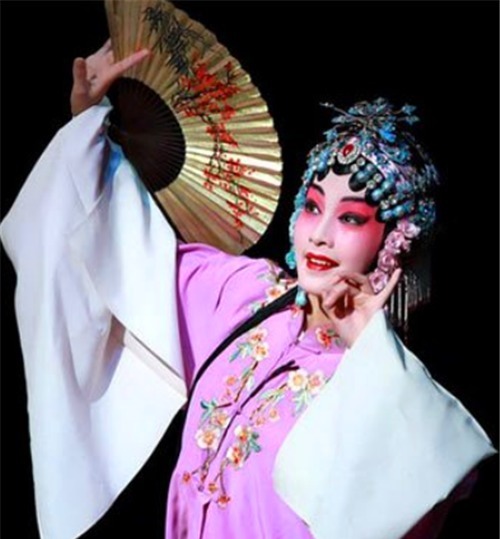 梁辰鱼|她是国家秘密培养9年的人才,却转身进了娱乐圈,原因是什么!