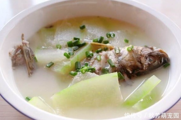 鱼汤|用冬瓜和它煮汤，多让孩子喝，清热去火还补钙，比骨头汤更有营养