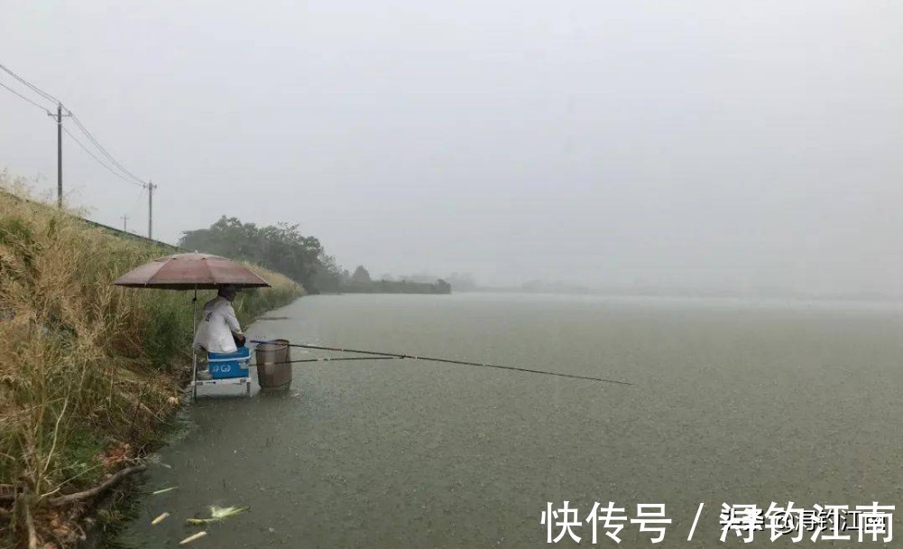 钓鱼|暴雨涨水好钓鱼？别轻易相信。老司机倾情透露这几点，别再错过了