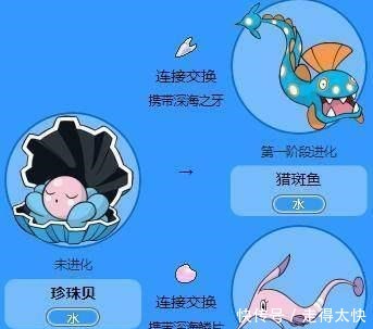 口袋妖怪猎斑鱼和樱花鱼