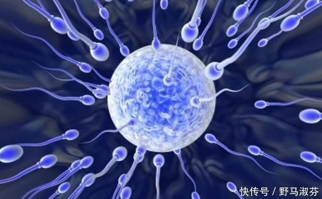 孕妈|男孩女孩,想要如愿的孕妈,悄悄说一句民间说法或有一定道理