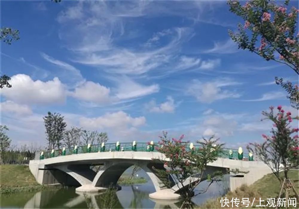 乡村|国家级“种草”！崇明2条线路入选全国乡村旅游学习体验线路