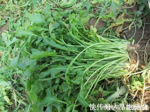 味甘|肝不好的人，可以常吃这5种食物，有一种还是药食同源的稀罕物