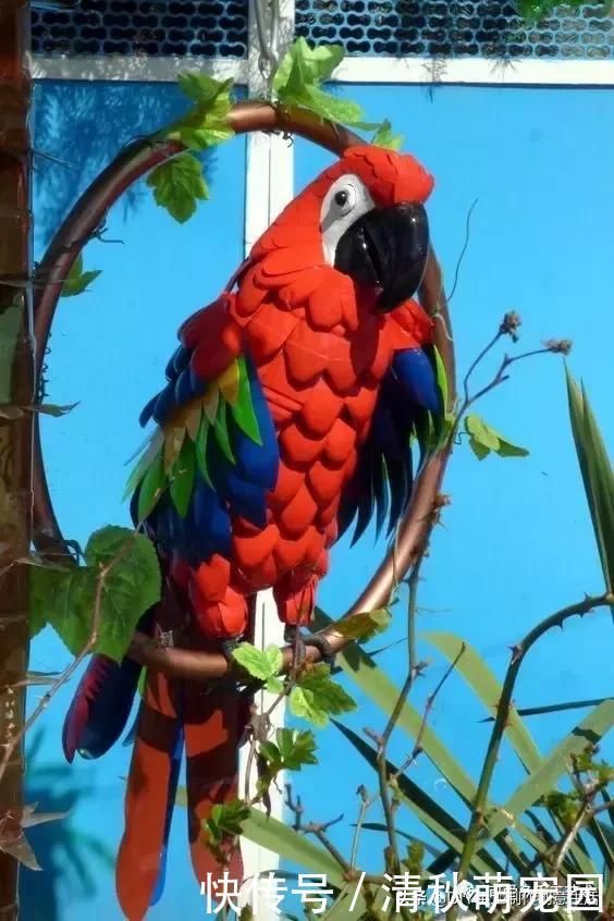 下次再有饮料瓶千万不要丢,看完这个你就明白了,附教程