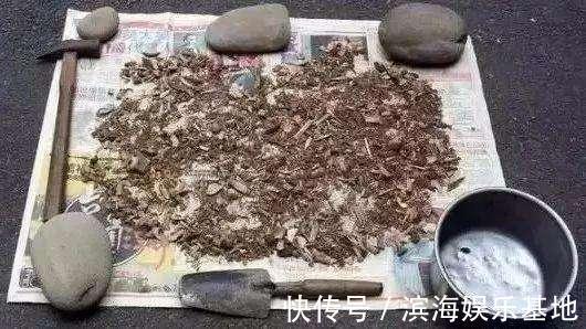 养花|7种“垃圾”不是废物,泡一下水,肥的流油,养花一级棒