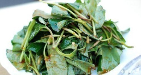 蒲公英|养肝就是养命,3种野菜女人可常吃,肝脏干净了,更显年轻!