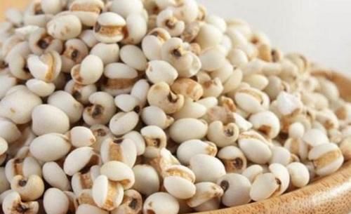 薏米|想长寿全靠吃,三种食物离不开,美容美白,抵抗衰老!